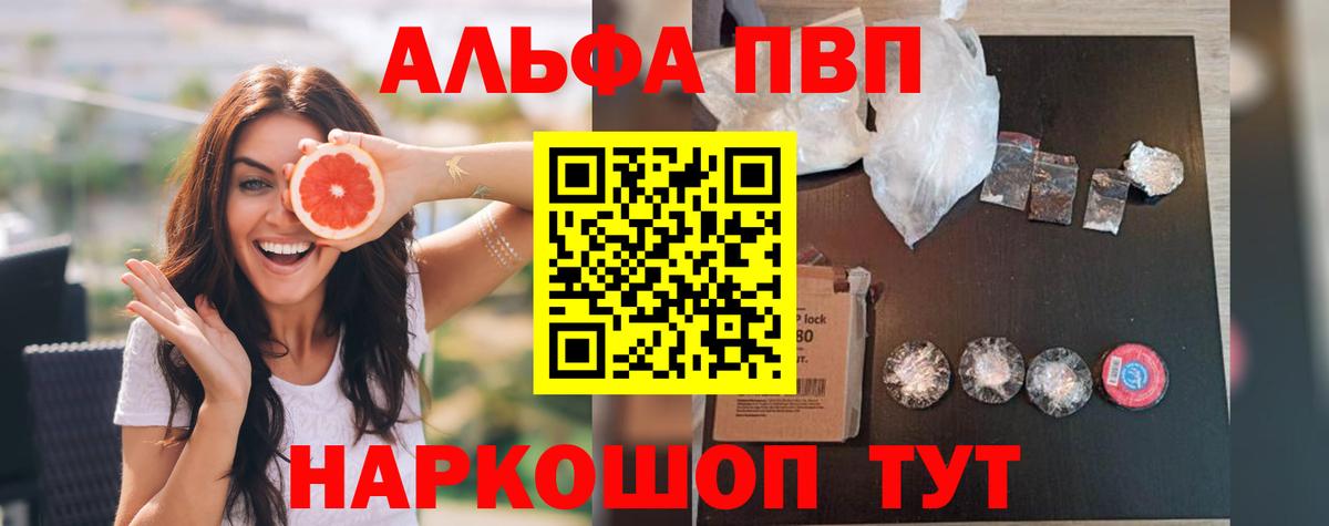 A-PVP СК Шадринск